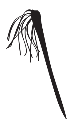 instruction hula main skirt