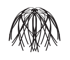 instruction hula skirt